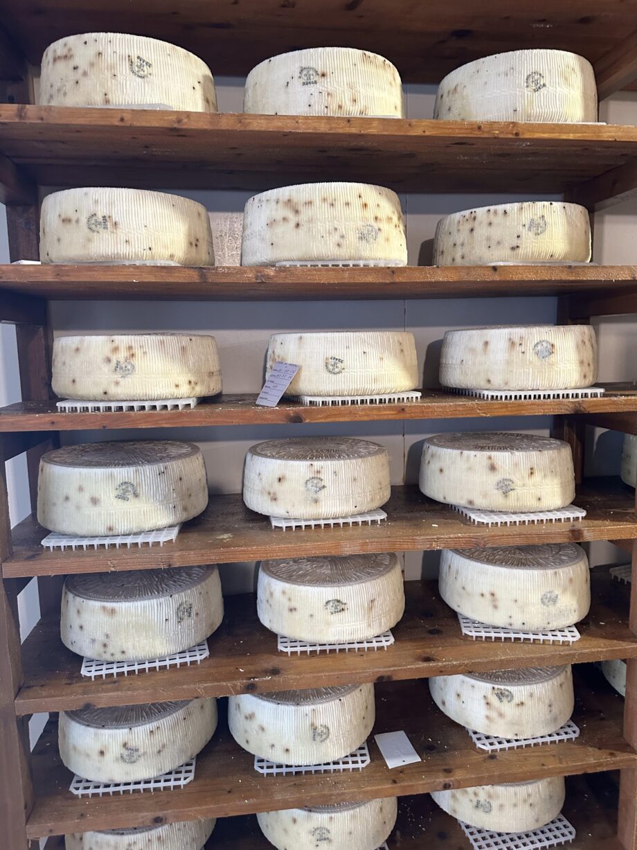 Pecorino Sicilien artisanal, 3 pièces de votre choix