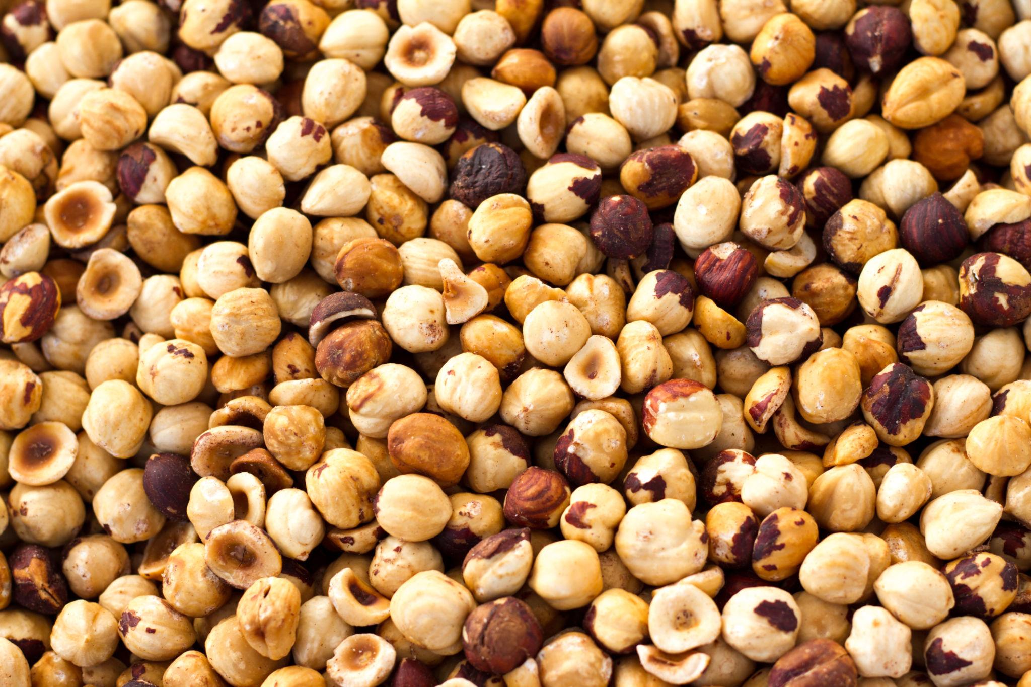 noisettes torrifiées